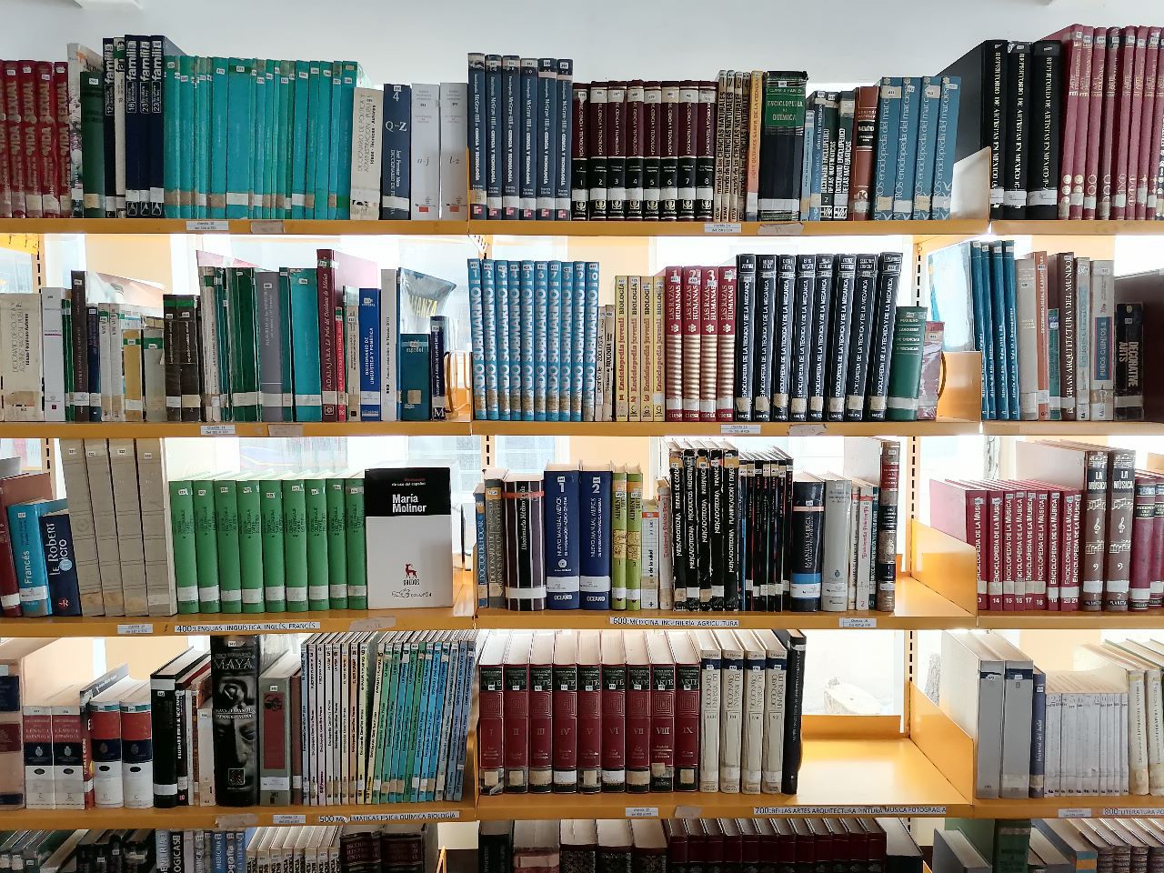 Huamantla celebrará el Día Nacional del Libro